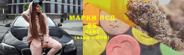 прущие грибы Новокубанск