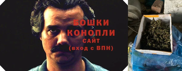 молекула духа Новозыбков