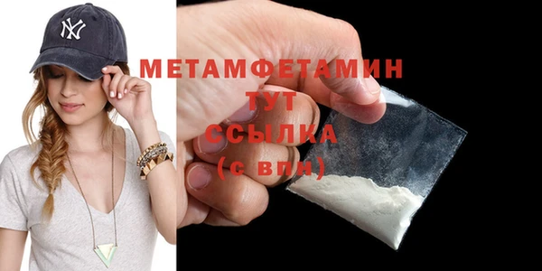 молекула духа Новозыбков