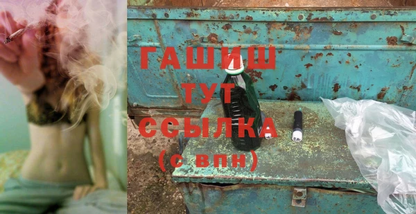 молекула духа Новозыбков