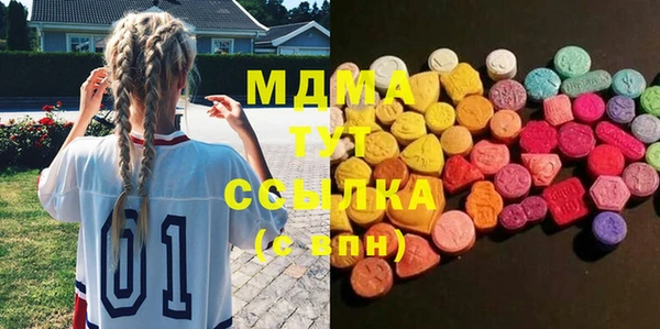 молекула духа Новозыбков