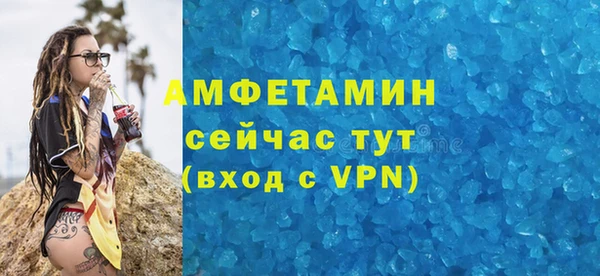 молекула духа Новозыбков