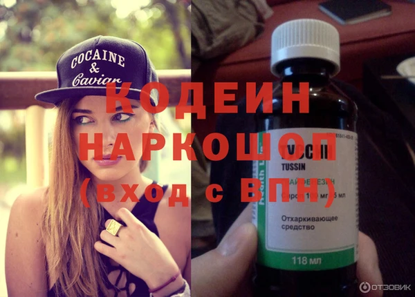 прущие грибы Новокубанск