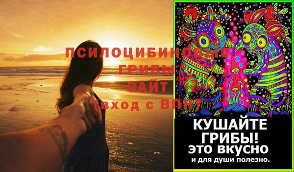 молекула духа Новозыбков