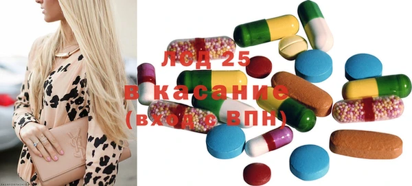 молекула духа Новозыбков