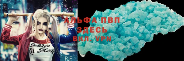 прущие грибы Новокубанск